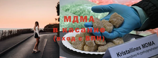 сатива Ельня