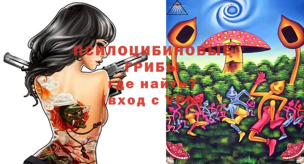 сатива Ельня