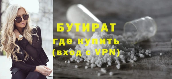 сатива Ельня