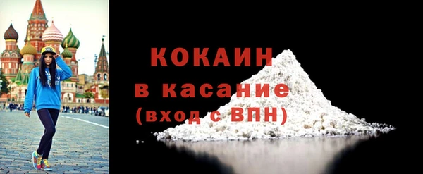 сатива Ельня