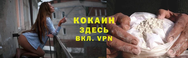 сатива Ельня