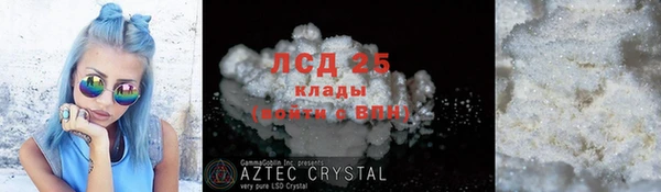 сатива Ельня