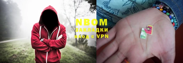 сатива Ельня