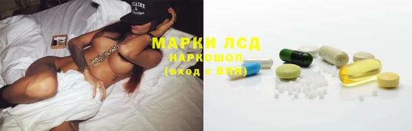 прущие крисы Елизово