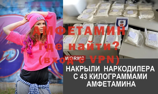 сатива Ельня