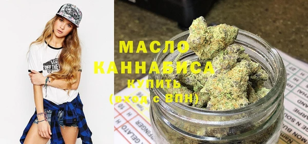 сатива Ельня