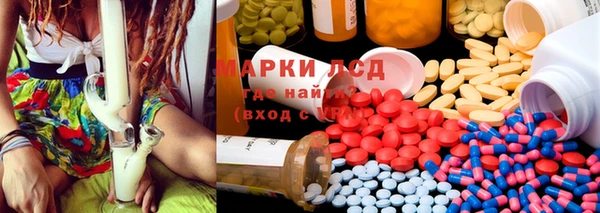 сатива Ельня