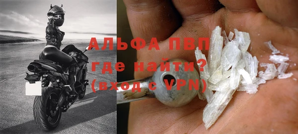 сатива Ельня