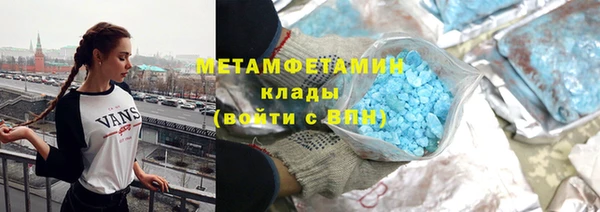 сатива Ельня