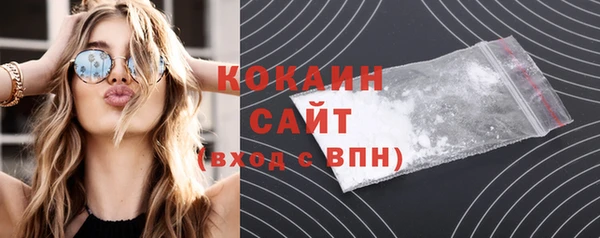 сатива Ельня