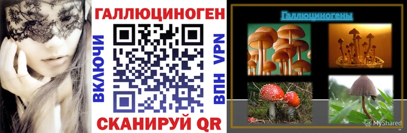 Псилоцибиновые грибы прущие грибы  Купить  Чулым 